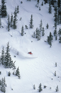 Skiing the Steeps